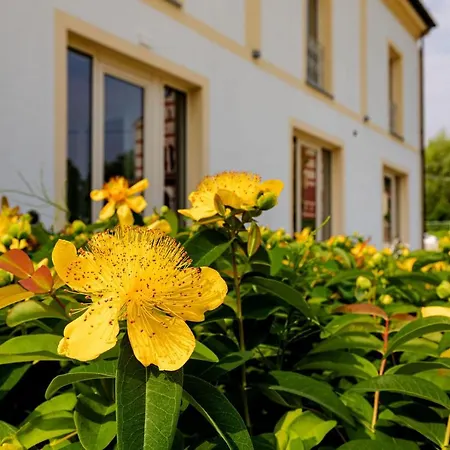 L'aja Della Mirusina - Piedmont Monferrato Langhe Resort 4*