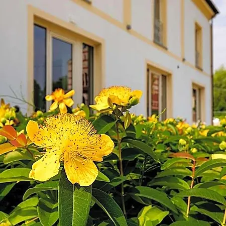 L'aja Della Mirusina - Piedmont Monferrato Langhe Resort