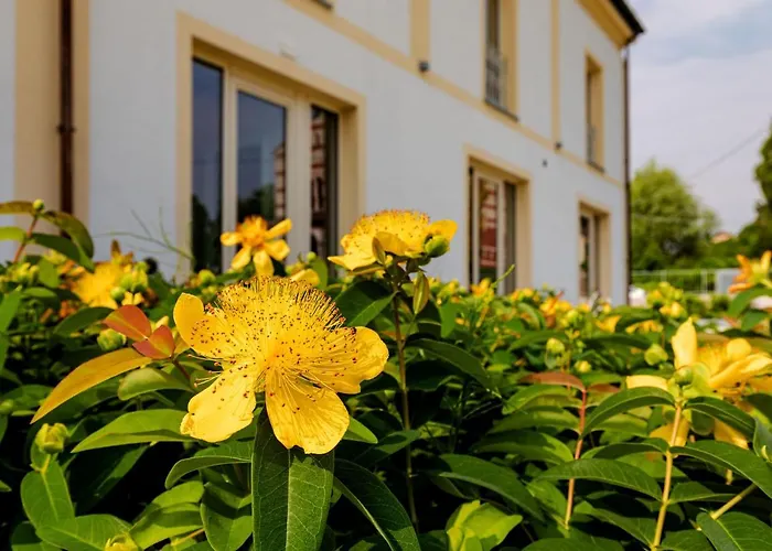 L'aja Della Mirusina - Piedmont Monferrato Langhe Resort 4*